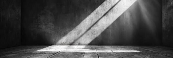 This expansive space, with smooth concrete walls and flawless flooring, is beautifully lit by light and shadow, creating an ideal backdrop for captivating product displays and engaging presentations photo