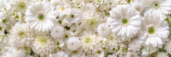 The beautiful white flowers create a serene and elegant backdrop that is perfect for any special occasion or event photo