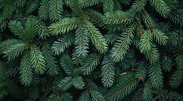 This view of vibrant green pine branches highlights their delicate needlelike leaves, inviting nature enthusiasts and photographers to admire its beauty and tranquility in the lush environment photo