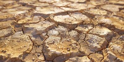 This image shows dry, cracked earth, highlighting the severe impacts of ongoing drought linked to climate change, leading to water scarcity that critically affects our environment and ecosystems photo