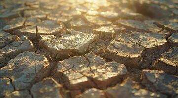 This image captures the severe effects of drought, showcasing cracked earth under scorching sunlight, highlighting the challenges of climate change and the urgent need for meaningful action photo