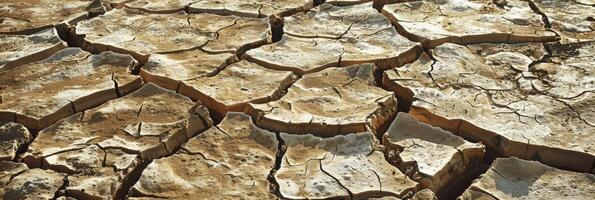 A closeup view of cracked, dry soil highlighting the severe effects of drought and climate change on natural habitats and agriculture photo