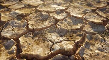 This image vividly illustrates the stark and harsh reality of cracked soil, bringing attention to the devastating effects of drought and climate change on agriculture and the surrounding ecosystems photo