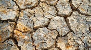This image vividly illustrates the presence of cracked, parched earth, effectively highlighting the severe effects and consequences of prolonged drought and climate change on our natural environment photo