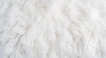 The luxurious texture of white fur is ideally suited for creating elegant backgrounds and stunning visual designs photo