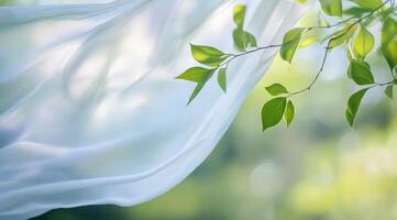 Experience the freshness of Eco Fresh Laundry Wash, designed for a clean, ecofriendly wash that cares for both your clothes and the environmenttough on stains yet gentle on fabrics photo