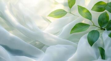 Experience natures freshness with our ecofriendly laundry wash, designed for a clean, sustainable home. Gentle on fabrics yet tough on stains, ensuring optimal results every time photo