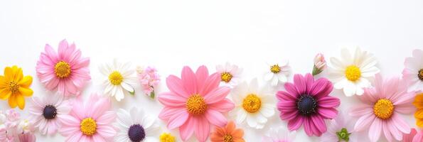 A stunningly beautiful array of colorful flowers that includes cheerful daisies and many other blooms, making it perfect for a soft and serene, natureinspired background with ample copy space photo