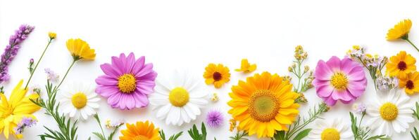 A vibrant and stunning arrangement of flowers in a diverse array of colors, creating a beautiful and eyecatching border while leaving ample copy space for text or graphics for added creativity photo