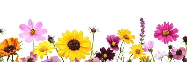 This colorful collection showcases stunning flowers perfect for adding joy to any project. Ideal for enhancing backgrounds or as decorative elements in various artistic applications photo