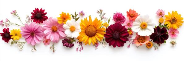 A stunning and vibrant array of colorful flowers that are absolutely perfect for springtime celebrations and decor photo