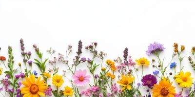 A beautifully vibrant wildflower arrangement featuring an array of various colors set against a clean white background, making it ideal for incorporating personalized messages or creative designs photo