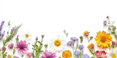 This colorful array of wildflowers creates a stunning border for invitations or greeting cards, allowing ample white space for personalized text and ensuring a beautiful overall presentation photo