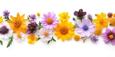 This vibrant and diverse collection of assorted flowers, displaying their beautiful and varied colors, adds a wonderful touch of nature to any design while providing ample and inviting copy space photo