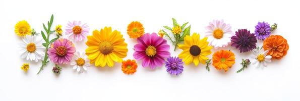 A vibrant display of an extensive variety of beautiful flowers showcasing a wide spectrum of colors, perfect for spring themes and providing floral design inspiration to spark creativity and joy photo