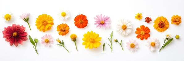 A stunning and beautiful array of vibrant flowers that features unique daisies, cheerful marigolds, and many more delightful blossoms, perfect for various spring themes and ample copy space photo