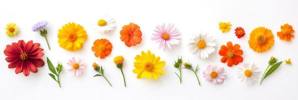This vibrant flower display captures the essence of spring, showcasing various blooms against a serene background while celebrating natures elegance in a visually stunning artistic style photo