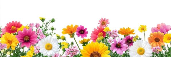 This is a stunning and beautiful illustration showcasing a vibrant floral border that features a diverse array of colorful flowers, making it ideal for various backgrounds and artistic designs photo