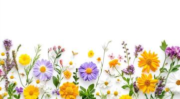 A vibrant and colorful array of various flowers elegantly forms a stunning border, making it perfect for many design projects, while providing ample space for incorporating text and graphics photo