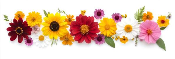 A vibrant array of beautiful flowers in various colors, which makes them perfect for use as backgrounds or designs that offer ample copy space for text or other elements that need highlighting photo