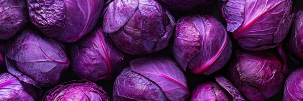 This colorful and nutritious purple cabbage is perfect for making vibrant salads and delicious cooking dishes photo