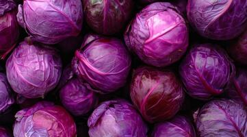 A colorful display of fresh purple cabbages, highlighting their intricate and beautiful textures and hues photo