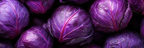 A closeup view of vibrant purple cabbages is showcasing their rich, beautiful color along with their texture photo