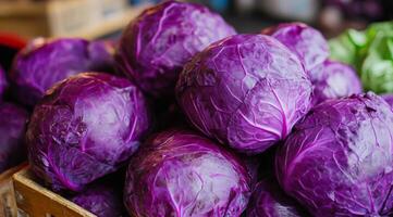 A vibrant and eyecatching purple cabbage on display, showcasing its stunning rich color at a local produce market photo