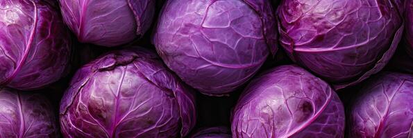 These vibrant purple cabbages are perfect for a variety of salads, garnishes, and nutritious healthy meals photo