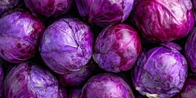 Fresh, vibrant purple cabbage heads are absolutely perfect for a variety of salads, garnishes, and healthy recipes photo