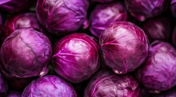 These vibrant purple cabbages, which are fresh and crisp, are perfect for use in salads, stirfries, and as a garnish photo
