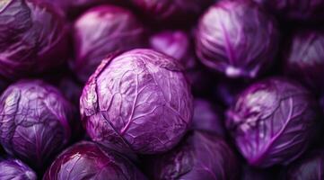 A closeup shot of several fresh and vibrant purple cabbages, beautifully showcasing their rich hue and unique texture photo