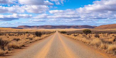 A long, deserted gravel road stretches endlessly into the horizon, surrounded by an arid landscape characterized by sparse vegetation and an expansive, vast sky that seems to go on forever photo