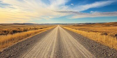 A winding gravel road stretches into the horizon, surrounded by barren land and a clear blue sky, symbolizing the adventure and solitude that many seek in life and diverse experiences photo