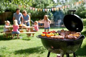 Family Barbecue in the Backyard photo