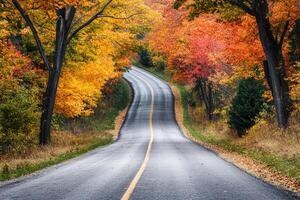 A charming countryside road flanked by autumnal trees. photo