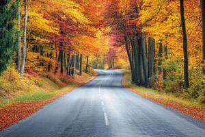 A charming countryside road flanked by autumnal trees. photo