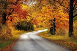 A charming countryside road flanked by autumnal trees. photo