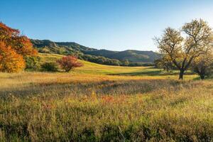 A picturesque meadow with vibrant autumn colors. photo