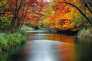 A serene river flowing through autumnal trees. photo
