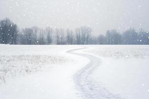 A winding path through a snow-covered meadow. photo