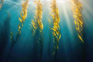A serene underwater view of a kelp forest swaying gently in the ocean current. photo