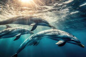A group of dolphins playfully swimming near the surface of the water. photo