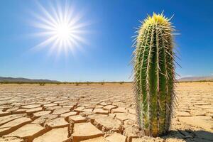 A parched desert landscape with a lone cactus under the scorching sun. photo