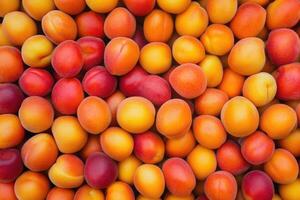 A vibrant collection of apricots forms a colorful and textured background. photo
