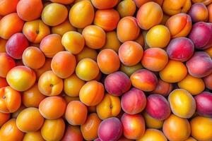 A vibrant collection of apricots forms a colorful and textured background. photo