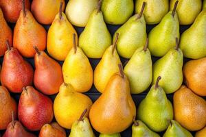 A colorful array of pears forms a rich and textured background. photo