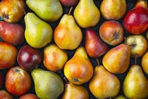 A colorful array of pears forms a rich and textured background. photo