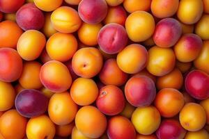 A vibrant collection of apricots forms a colorful and textured background. photo