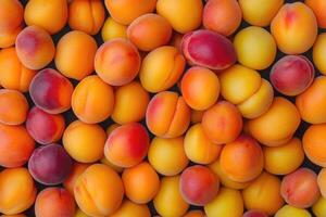 A vibrant collection of apricots forms a colorful and textured background. photo